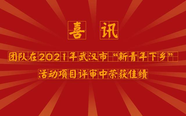 错误,图片无法显示